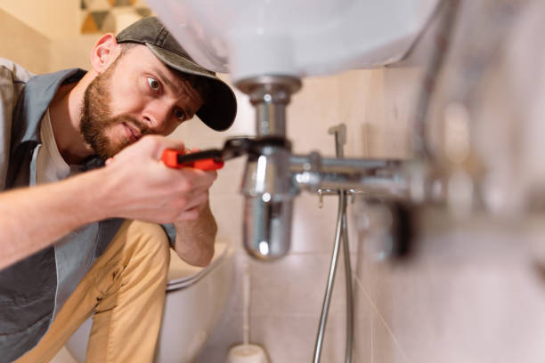 Best Local Plumber Services  in De Witt, NY